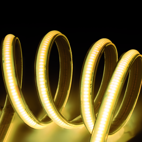 Strisce LED 220Vac