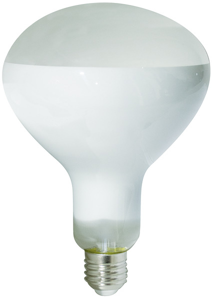 LAMPADA LED DIMMER R125 Filament Frost, E27, 11W, FA185°,2700K,220Vac,LM1055, CRI80, 125x180mm, Classe F%%%_substitutiveMessage_%%%39.922371CDS