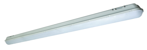 Articoli in evidenza