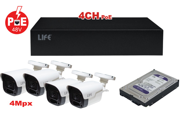 Articoli in evidenza